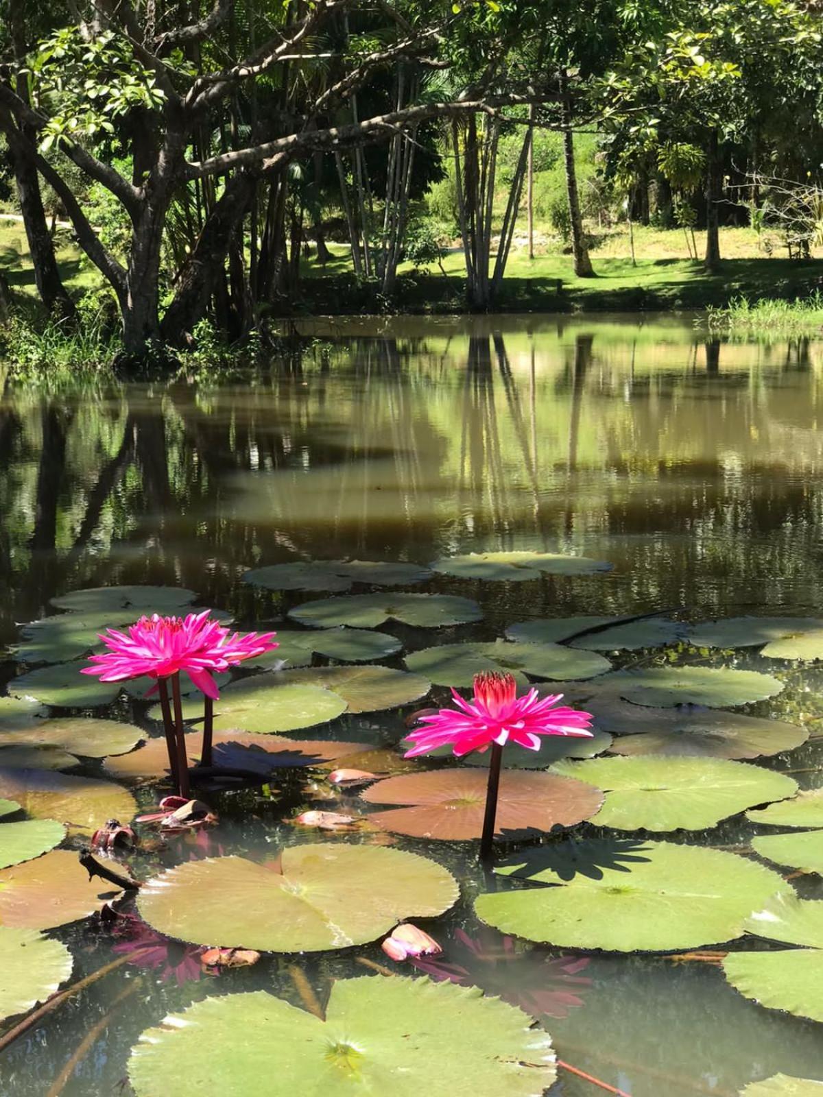 Canto De Roca Turismo E Lazer Mimoso do Sul Exteriér fotografie