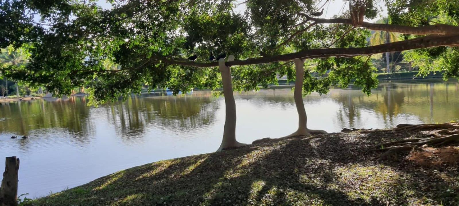 Canto De Roca Turismo E Lazer Mimoso do Sul Exteriér fotografie