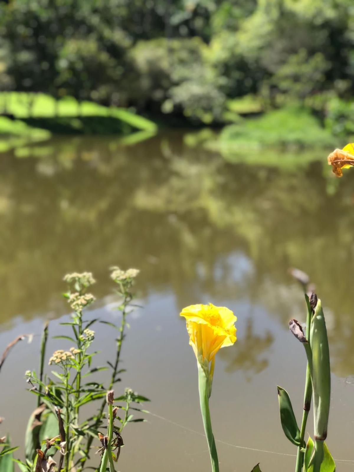 Canto De Roca Turismo E Lazer Mimoso do Sul Exteriér fotografie